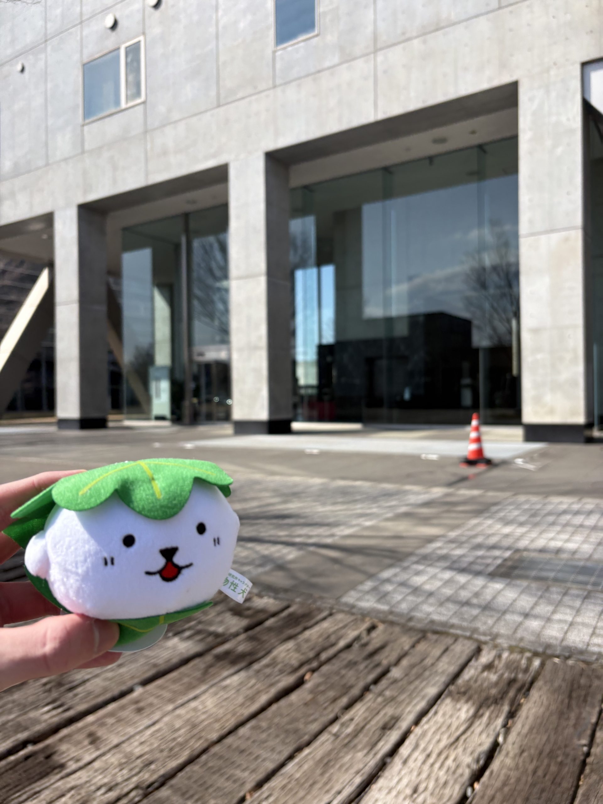 ポスター発表の様子